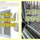 캣츠앤몬스터 이미지