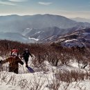 [신년 특집 눈꽃산행 | 함백산] 초보자도 갈 수 있는 눈꽃 산행지의 대명사 이미지