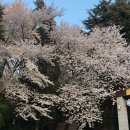 수봉국악회관 이미지