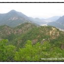 꽃지어울 이미지