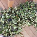 푸른솔농장2 이미지