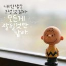 하쿠나 마타타 - 1226 | 하쿠나 마타타