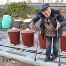 전통농업연구소