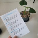 오늘의 집 오가든 몬스테라 후기 추천인코드 : _bMB6lm1