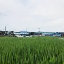 구량보건진료소 이미지