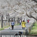 영신군이이묘 이미지