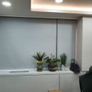 메종블랑쉐 이미지