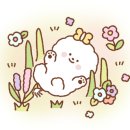 네일오쏭