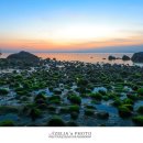 보성바다스토리리조트 이미지