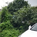 여남경로당 이미지