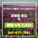 혁신행운부동산중개사무소 | 음성군 금왕읍 토지 3087.0㎡ 매매 4억 2,030 - 충북혁신도시에이스공인중개사사무소