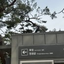 조선왕가(주) | 2025년 4월 창덕궁 후원 예약 / 관람 후기
