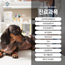 에스동물병원 이미지