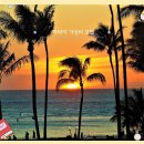 큐(Q)호텔 | 🏖️ 하와이 가성비 호텔 추천 TOP 7