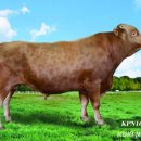 충청남도축산기술연구소 이미지