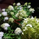 용신16 | 안산점집ㅣ회사 인간관계로 무너진 마음, 용신 수성당 덕분에 다시 숨통이 트이다