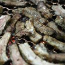 윤돼지식당 이미지