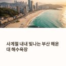씨유 해운대솔밭예술마을점 | 사계절이 아름다운 부산 해운대 해수욕장 여행코스 총정리