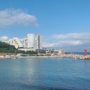 해양수산 과학원 ~ 어성교 | 부산 아이와 수산과학관 방문 물고기 밥주기 해루질 닥터피쉬