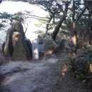 엄광산 동구경계 이미지