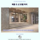자이약국 | 자이 숙소 추천 메종 드 신 호텔 자이 후기