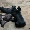 용정농장 이미지