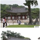 서울의 다른 궁궐들과는 다른 무엇이 있다~~창경궁^^ 이미지