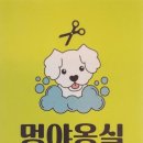 멍야옹실 이미지