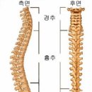 플랫(flat) 이미지