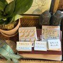 카페두가시 이미지