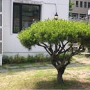 카페문화동