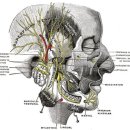 이영준한의원 이미지