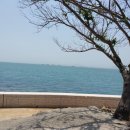 이안횟집민박 이미지