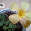참나눔 이미지