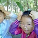 동초교병설유치원 이미지