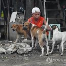 Dog# 이미지