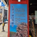 소담촌1번가직영점 | 안양 물회 맛집, 안양역 통영굴바다 항아리물회 후기