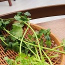 고양시 돼지갈비 맛집 11,000원으로 즐기는 킨텍스 점심특선
