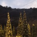 경남 의령 대형카페 그린프로그 이병철생가근처 애견동반가능