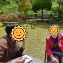 차조은서비스 이미지