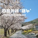 패누