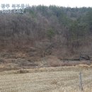 엘리체공인중개사사무소 이미지