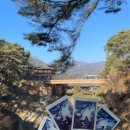 삼마호떡