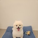 두리미용실 이미지