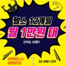 벨라핏 이미지