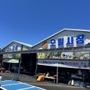 성산읍 고성오일장 | [제주 서귀포] 제주 서귀포 시장 성산읍 전통시장 제주 고성오일장