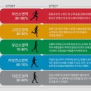 비벨라핏 이미지