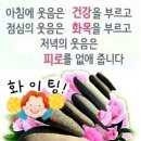 ＜제47회 낭만길걷기 정산＞청계천 매화거리 걷기 이미지