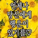 할미가 이미지