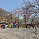 용인시 관광안내소(한국민속촌) | 용인 한국민속촌 웰컴투조선 후기｜26년 6월 7일까지 운영 입장료 할인 공연 볼거리 먹거리